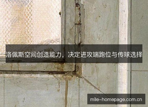 洛佩斯空间创造能力,决定进攻端跑位与传球选择 洛佩斯空间创造能力,决定进攻端跑位与传球选择